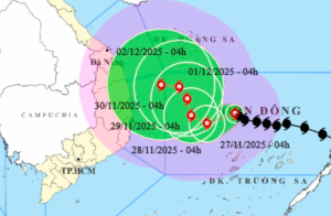 dan de 20 so nuoi khung 5 ngay phuong phap choi hieu qua va chien thuat chuyen sau 699e49cee3f1d